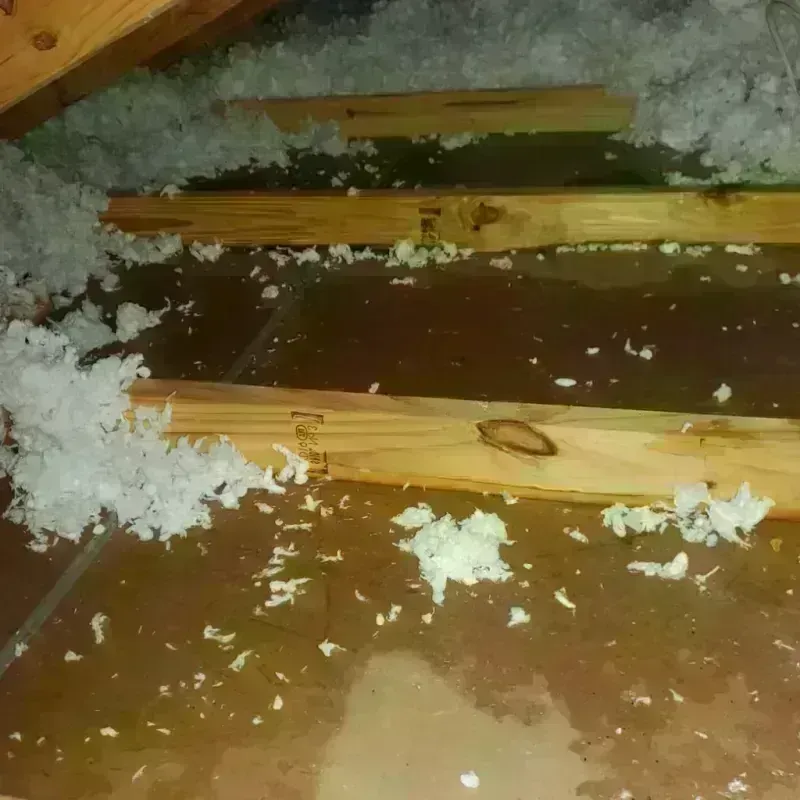 Attic Water Damage in Richmond, IL