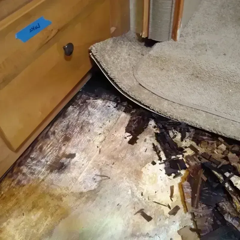 Wood Floor Water Damage in Richmond, IL